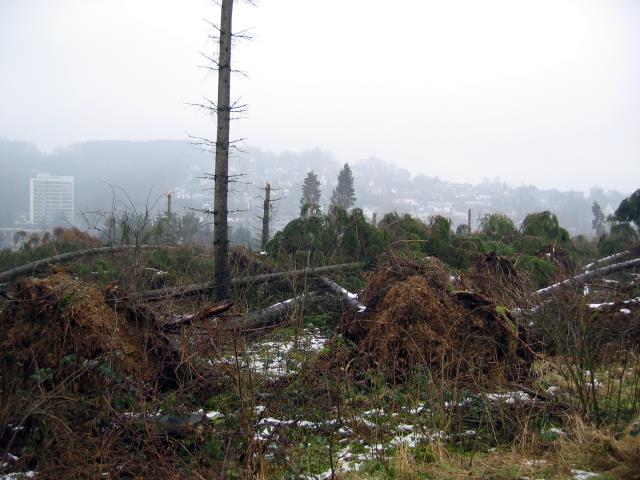 AH-2007-3a AH-2007-3a